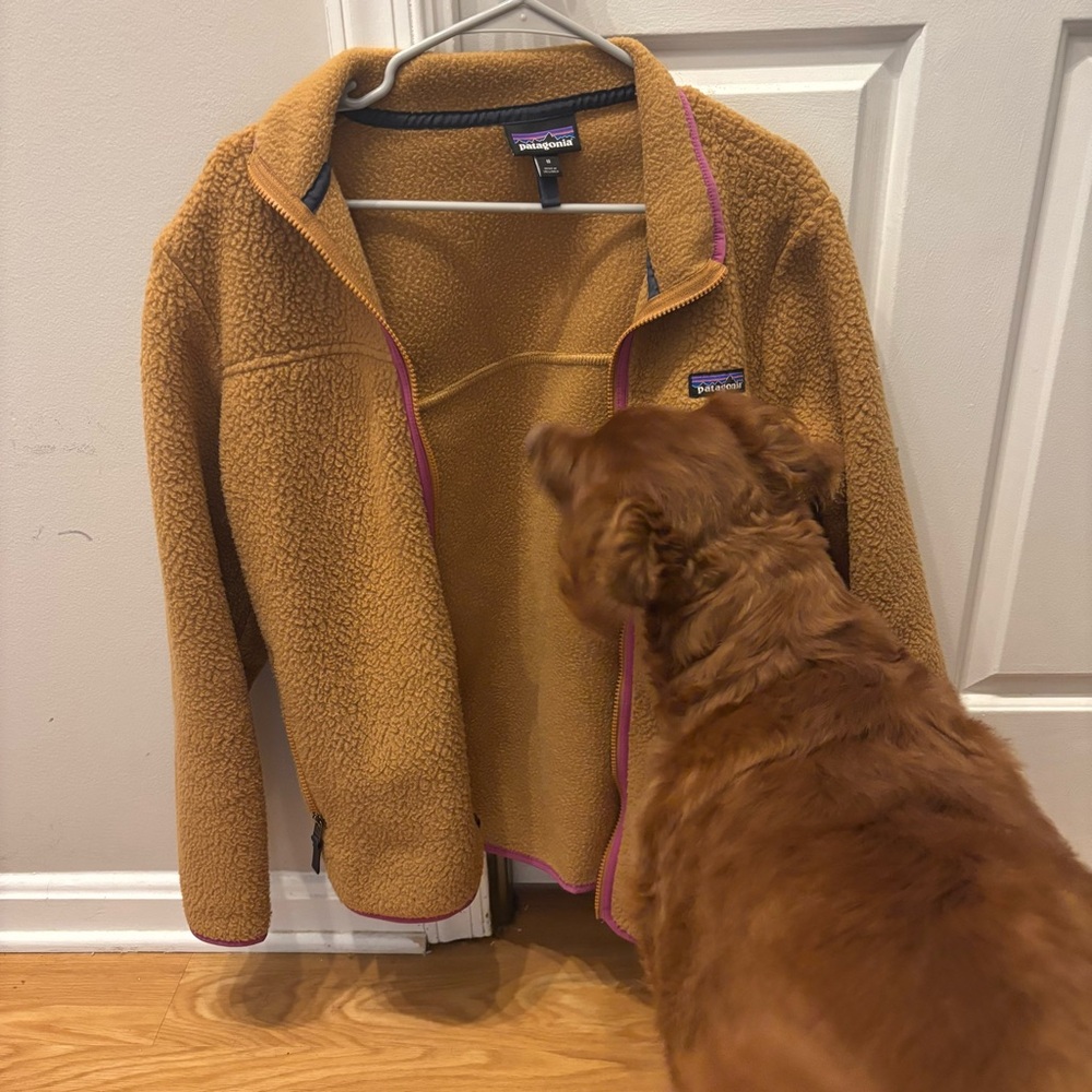 Patagonia Retro Pile Fleece